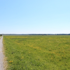 Ausflug im Mai 2016 (4)